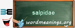 WordMeaning blackboard for salpidae